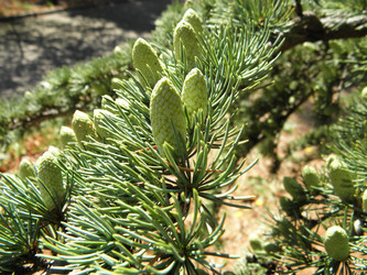 Similar image 317601