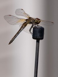 Similar image 317662