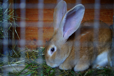 Similar image 317692