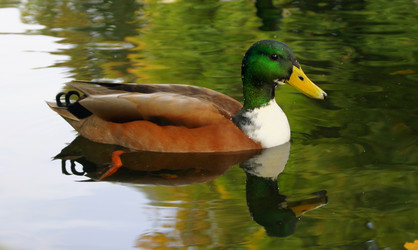 Similar image 317695