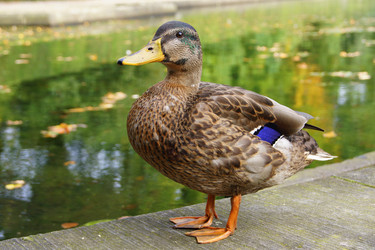 Similar image 317697