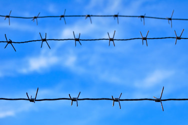 Similar image 317706