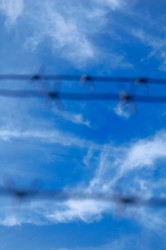 Similar image 317712