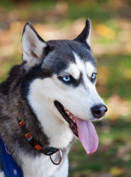 Similar image 317739