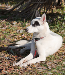 Similar image 317743