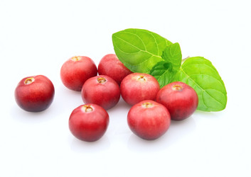 Similar image 317759