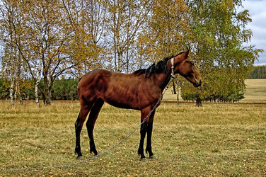 Similar image 317769