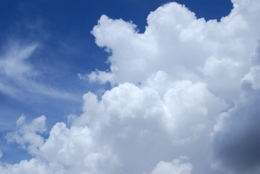 Similar image 317775