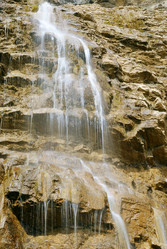 Similar image 317787