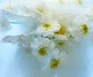 Similar image 317855