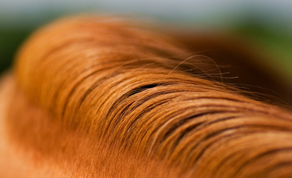 Similar image 317861