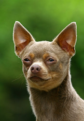 Similar image 317871