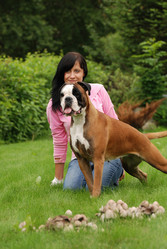 Similar image 317876