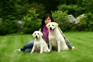 Similar image 317881