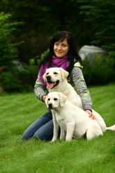 Similar image 317886