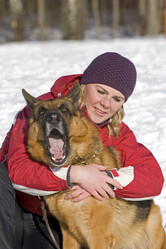 Similar image 317887