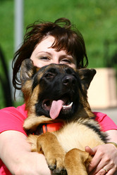 Similar image 317888