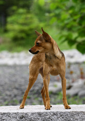 Similar image 317894