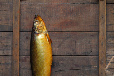 Similar image 317921