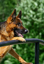 Similar image 317926