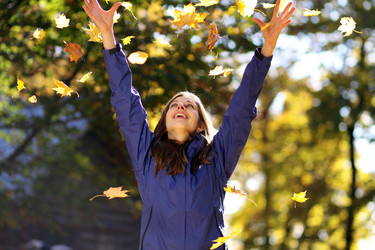 Similar image 317977