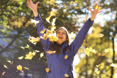 Similar image 317978