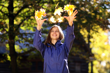 Similar image 317979