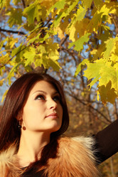 Similar image 318062