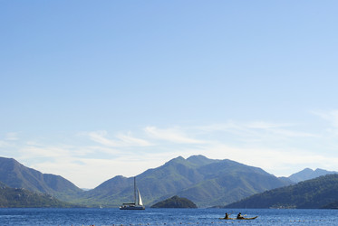 Similar image 318077