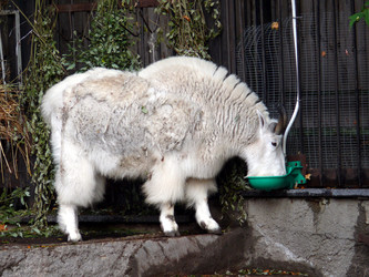 Similar image 318091