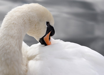 Similar image 318101