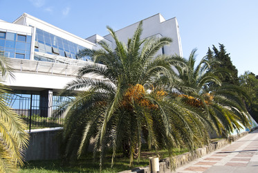 Similar image 318114