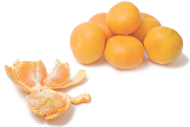 Similar image 318139