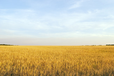 Similar image 318154