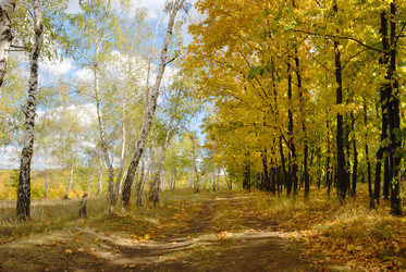 Similar image 318155