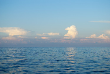 Similar image 318156