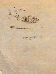 Similar image 318160