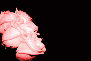 Similar image 318165