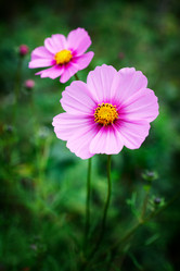 Similar image 318204