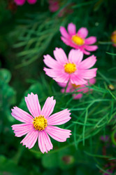 Similar image 318205