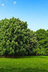 Similar image 318234