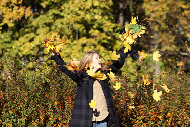 Similar image 318261