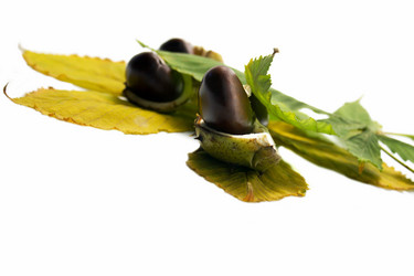 Similar image 318273