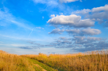 Similar image 318281