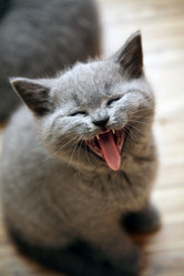 Similar image 318296