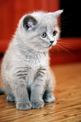 Similar image 318297