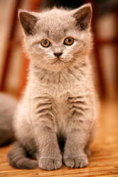 Similar image 318299