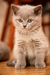 Similar image 318300