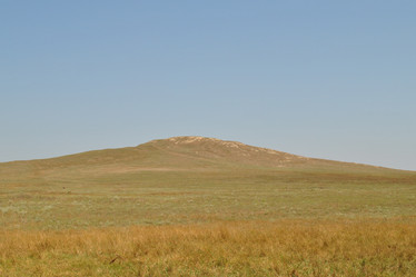 Similar image 318302