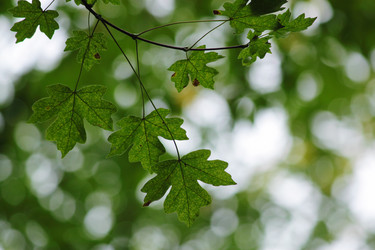 Similar image 318316